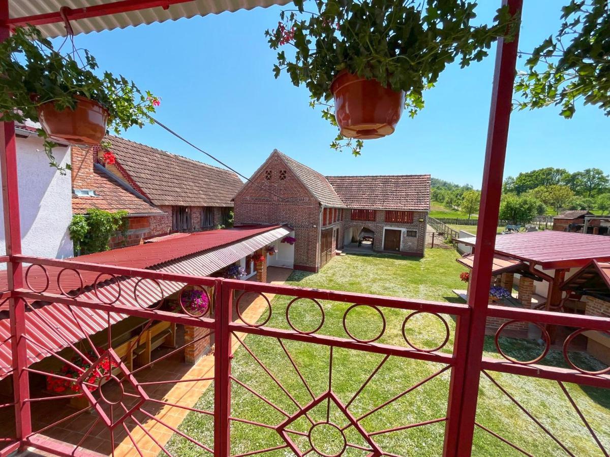 Salas 318 - B&B Farm Experience Brodski Drenovac Exterior foto
